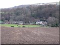 Valley of the Stocksfield Burn