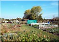 Allotments, East Hanney
