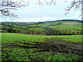 The Wash Brook valley