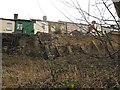 Buttressed garden walls