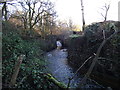 Bridge over Astley Brook