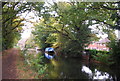 Boat, Basingstoke Canal