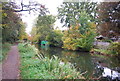 Basingstoke Canal