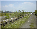 The remains of Upper Bank Station, Swansea