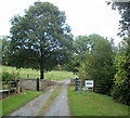 Private road to Maesllwch Castle near Glasbury