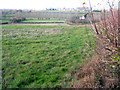 Field edge near Upton