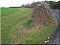 Field edge near Upton