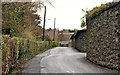 The Bankheads Lane, Larne (2)