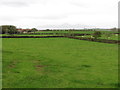 Farmland west of the Ardglass Road