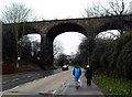 Dis-used railway viaduct