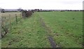 Footpath in the field