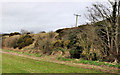 Old railway embankment, Newport/Culcavy (1)