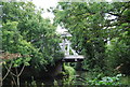 TQ6848 : Bridge in the trees by N Chadwick