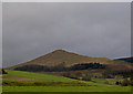 NO0101 : Ochil Hills near Yetts o' Muckhart by William Starkey