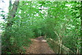 Footpath to Shotter Mill