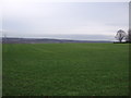 Farmland off Wood Lane