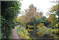 Autumn colours, Basingstoke Canal