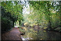 Autumn, Basingstoke Canal