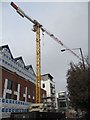 SU4767 : Last Tower crane by Bill Nicholls