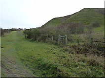 TQ4211 : Chalk pit spoil heaps on the north side of Malling Hill by Dave Spicer