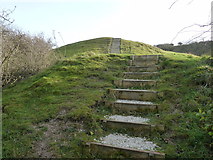 TQ4211 : Steps to disused chalk pits on Malling Hill by Dave Spicer