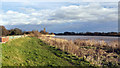 The Yorkshire Ouse at Goole