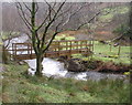 Pompren ger Glyncasnod / Footbridge near Glyncasnod