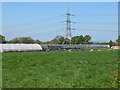 Greenhouses at Bryn Polyn Nurseries