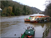 SO5615 : River Wye at the ferry quay, Symonds Yat (West) by Ruth Sharville