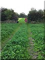 Footpath from Ford to Burges