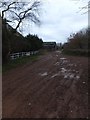 Killerton Park cycle path (5) at Columbjohn Farm