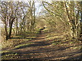 Track near Upper Haugh