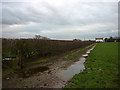 The footpath north of Gibson