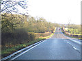 Long straight through Gooseholm Copse