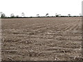 J5339 : Potato field south of Milltown Road by Eric Jones