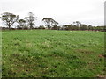 Farmland east of  the Ardglass Road in the Townland of Ballyhosset