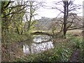 Branch of the River Itchen near St Cross