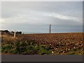 Farmland North of Saltdean