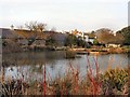 Rottingdean Pond