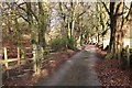 Private road near Yarrow