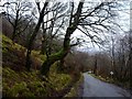 The old road through lower Glencoe