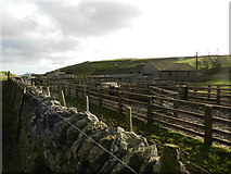 SK1382 : Sheep pens at Winnats Head Farm by Peter Barr