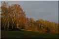 TQ3330 : Wakehurst Place: over the southern boundary, late afternoon winter light by Christopher Hilton