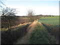 View towards Cuckoo Hill