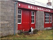 NJ1636 : Bob the Dog at Ballindalloch Station by Susan Cameron
