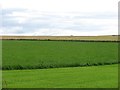 Farmland near Fordyce