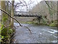 Bridge over Monnow, Great Goytre