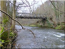 SO3624 : Bridge over Monnow, Great Goytre by Philip Pankhurst