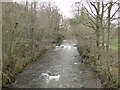 River Monnow at Great Goytre