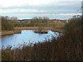 Pond on Barlow Common